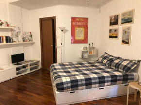 New Studio Città Studi Milano